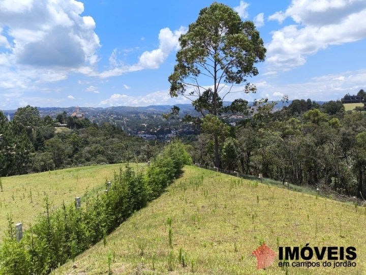 Casa Residencial para Venda - Campos do Jordão, Morro do Elefante - REF: 2904 Imagem da galeria de fotos: Casa Residencial para Venda - Campos do Jordão, Morro do Elefante - REF: 2904