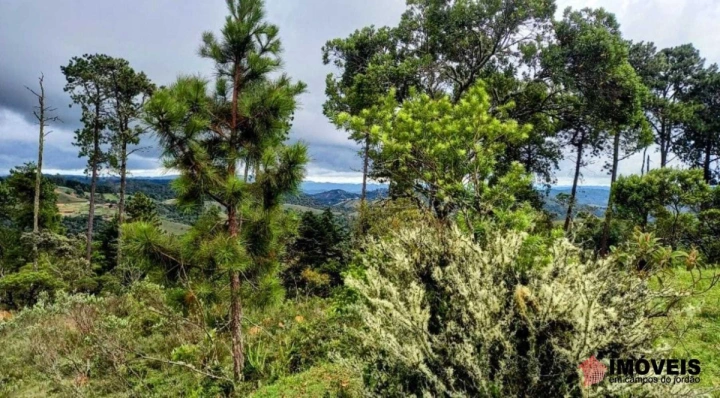 Área para Incorporação Comercial para Venda - Campos do Jordão, Parque Ferradura - REF: 2903 Imagem da galeria de fotos: Área para Incorporação Comercial para Venda - Campos do Jordão, Parque Ferradura - REF: 2903