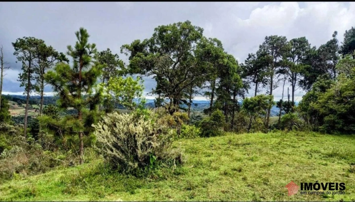 Área para Incorporação Comercial para Venda - Campos do Jordão, Parque Ferradura - REF: 2903 Imagem da galeria de fotos: Área para Incorporação Comercial para Venda - Campos do Jordão, Parque Ferradura - REF: 2903