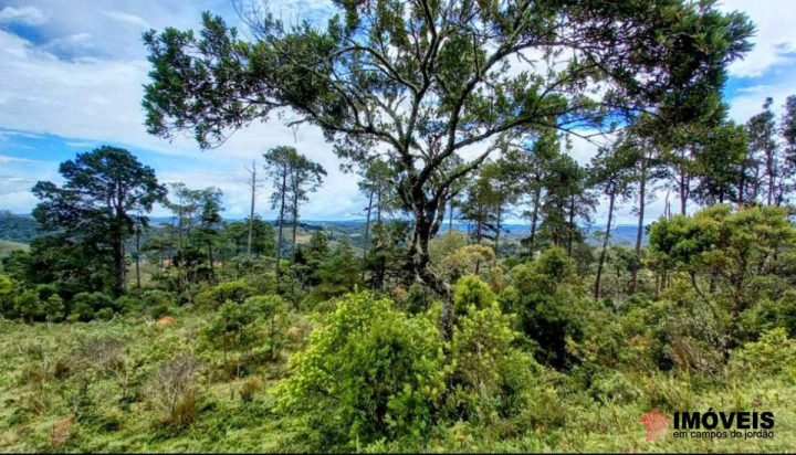 Área para Incorporação Comercial para Venda - Campos do Jordão, Parque Ferradura - REF: 2903 Imagem da galeria de fotos: Área para Incorporação Comercial para Venda - Campos do Jordão, Parque Ferradura - REF: 2903