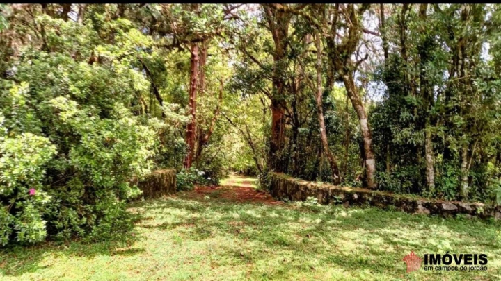 Área para Incorporação Comercial para Venda - Campos do Jordão, Parque Ferradura - REF: 2903 Imagem da galeria de fotos: Área para Incorporação Comercial para Venda - Campos do Jordão, Parque Ferradura - REF: 2903