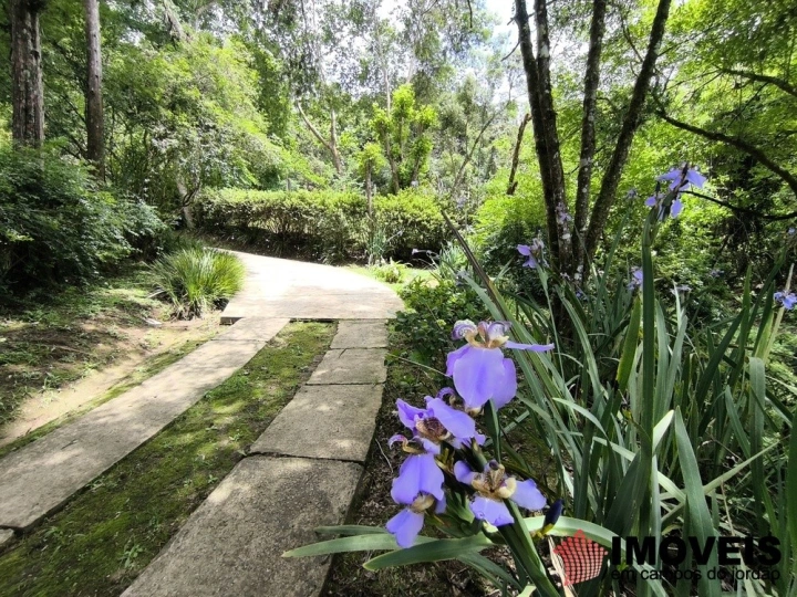Chácara Rural para Venda - Campos do Jordão, Chácaras da Água Santa - REF: 2887 Imagem da galeria de fotos: Chácara Rural para Venda - Campos do Jordão, Chácaras da Água Santa - REF: 2887