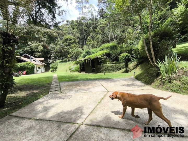 Chácara Rural para Venda - Campos do Jordão, Chácaras da Água Santa - REF: 2887 Imagem da galeria de fotos: Chácara Rural para Venda - Campos do Jordão, Chácaras da Água Santa - REF: 2887