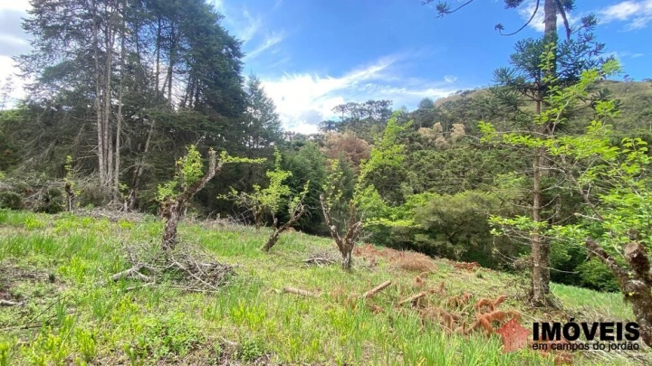 Área para Incorporação Comercial Industrial para Venda - Campos do Jordão, Descansópolis - REF: 2867 Imagem da galeria de fotos: Área para Incorporação Comercial Industrial para Venda - Campos do Jordão, Descansópolis - REF: 2867