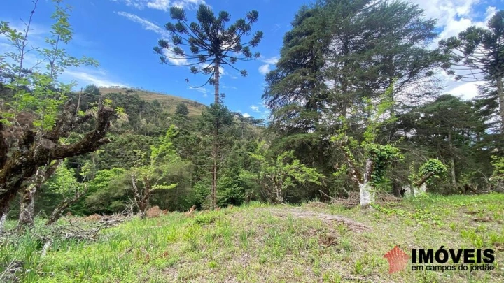 Área para Incorporação Comercial Industrial para Venda - Campos do Jordão, Descansópolis - REF: 2867 Imagem da galeria de fotos: Área para Incorporação Comercial Industrial para Venda - Campos do Jordão, Descansópolis - REF: 2867