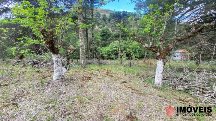 Área para Incorporação Comercial Industrial para Venda - Campos do Jordão, Descansópolis - REF: 2867 Imagem da galeria de fotos: Área para Incorporação Comercial Industrial para Venda - Campos do Jordão, Descansópolis - REF: 2867