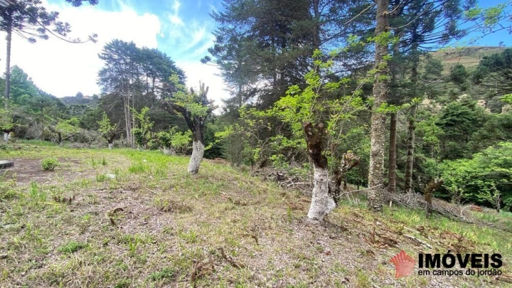 Área para Incorporação Comercial Industrial para Venda - Campos do Jordão, Descansópolis - REF: 2867 Imagem da galeria de fotos: Área para Incorporação Comercial Industrial para Venda - Campos do Jordão, Descansópolis - REF: 2867