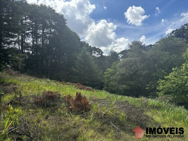 Área para Incorporação Comercial Industrial para Venda - Campos do Jordão, Descansópolis - REF: 2867 Imagem da galeria de fotos: Área para Incorporação Comercial Industrial para Venda - Campos do Jordão, Descansópolis - REF: 2867