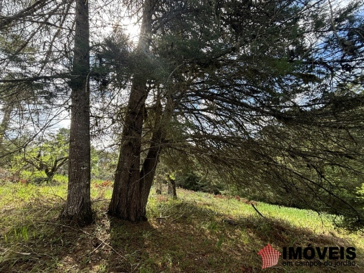 Área para Incorporação Comercial Industrial para Venda - Campos do Jordão, Descansópolis - REF: 2867 Imagem da galeria de fotos: Área para Incorporação Comercial Industrial para Venda - Campos do Jordão, Descansópolis - REF: 2867