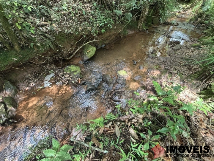 Área para Incorporação Comercial Industrial para Venda - Campos do Jordão, Descansópolis - REF: 2867 Imagem da galeria de fotos: Área para Incorporação Comercial Industrial para Venda - Campos do Jordão, Descansópolis - REF: 2867