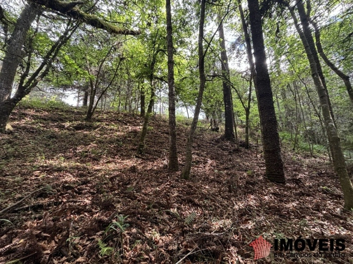 Área para Incorporação Comercial Industrial para Venda - Campos do Jordão, Descansópolis - REF: 2867 Imagem da galeria de fotos: Área para Incorporação Comercial Industrial para Venda - Campos do Jordão, Descansópolis - REF: 2867