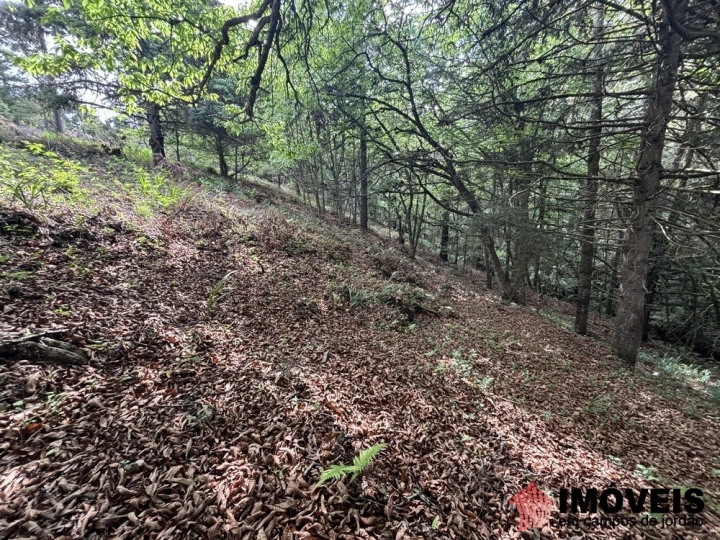Área para Incorporação Comercial Industrial para Venda - Campos do Jordão, Descansópolis - REF: 2867 Imagem da galeria de fotos: Área para Incorporação Comercial Industrial para Venda - Campos do Jordão, Descansópolis - REF: 2867
