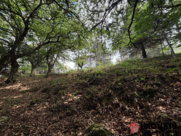 Área para Incorporação Comercial Industrial para Venda - Campos do Jordão, Descansópolis - REF: 2867 Imagem da galeria de fotos: Área para Incorporação Comercial Industrial para Venda - Campos do Jordão, Descansópolis - REF: 2867