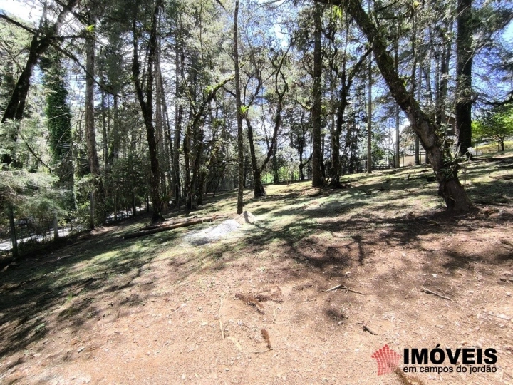 Terreno/Lote Residencial para Venda - Campos do Jordão, Descansópolis - REF: 2865 Imagem da galeria de fotos: Terreno/Lote Residencial para Venda - Campos do Jordão, Descansópolis - REF: 2865