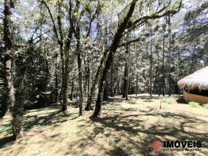 Terreno/Lote Residencial para Venda - Campos do Jordão, Descansópolis - REF: 2865 Imagem da galeria de fotos: Terreno/Lote Residencial para Venda - Campos do Jordão, Descansópolis - REF: 2865