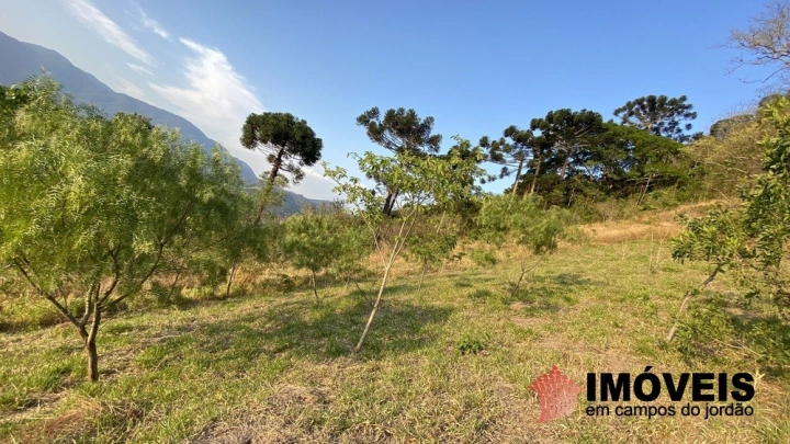 Sítio Residencial para Venda - Campos do Jordão, Sapucaí Mirim - REF: 2842 Imagem da galeria de fotos: Sítio Residencial para Venda - Campos do Jordão, Sapucaí Mirim - REF: 2842