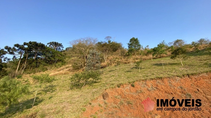 Sítio Residencial para Venda - Campos do Jordão, Sapucaí Mirim - REF: 2842 Imagem da galeria de fotos: Sítio Residencial para Venda - Campos do Jordão, Sapucaí Mirim - REF: 2842