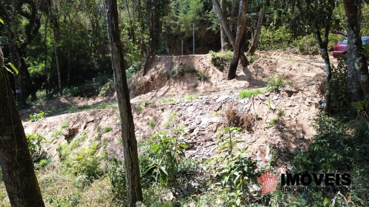 Terreno/Lote Residencial para Venda - Campos do Jordão, Alto da Boa Vista - REF: 2838 Imagem da galeria de fotos: Terreno/Lote Residencial para Venda - Campos do Jordão, Alto da Boa Vista - REF: 2838