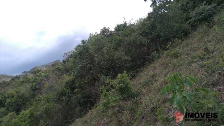 Terreno/Lote Residencial para Venda - Campos do Jordão, Piranguçu - Minas Gerais - REF: 2791 Imagem da galeria de fotos: Terreno/Lote Residencial para Venda - Campos do Jordão, Piranguçu - Minas Gerais - REF: 2791
