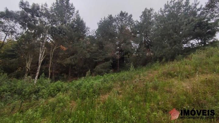 Terreno/Lote Residencial para Venda - Campos do Jordão, Alto da Boa Vista - REF: 2790 Imagem da galeria de fotos: Terreno/Lote Residencial para Venda - Campos do Jordão, Alto da Boa Vista - REF: 2790