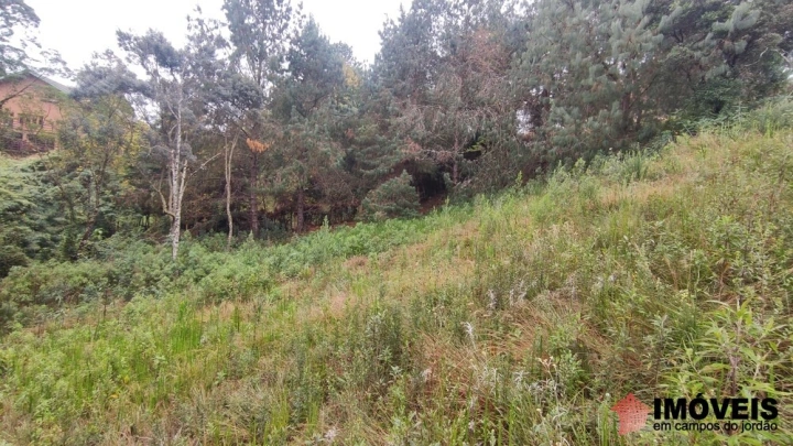 Terreno/Lote Residencial para Venda - Campos do Jordão, Alto da Boa Vista - REF: 2790 Imagem da galeria de fotos: Terreno/Lote Residencial para Venda - Campos do Jordão, Alto da Boa Vista - REF: 2790