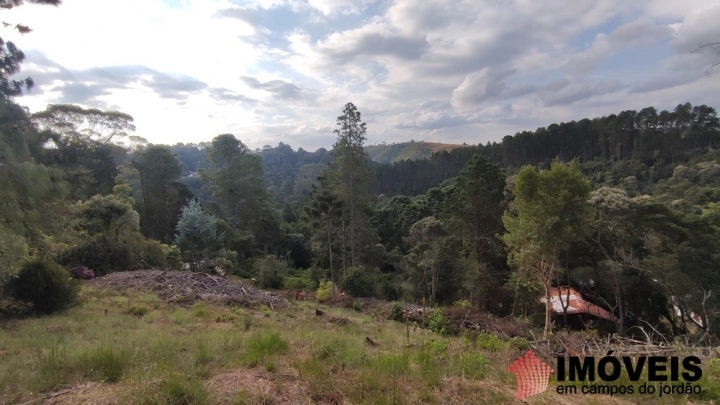 Terreno/Lote Residencial para Venda - Campos do Jordão, Umuarama - REF: 2788 Imagem da galeria de fotos: Terreno/Lote Residencial para Venda - Campos do Jordão, Umuarama - REF: 2788