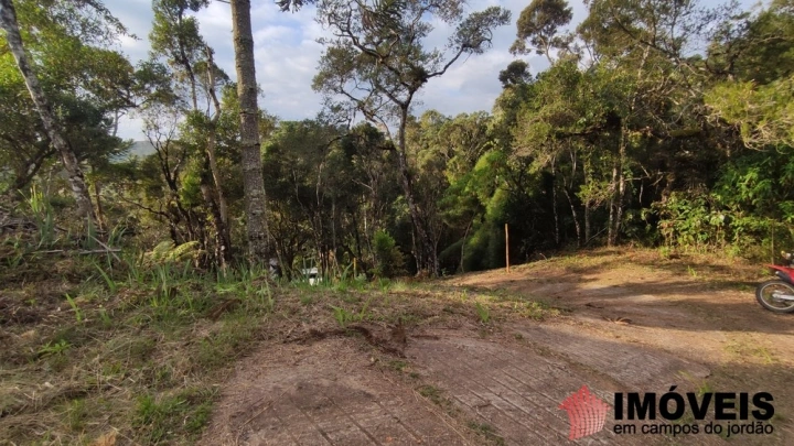 Terreno/Lote Residencial para Venda - Campos do Jordão, Umuarama - REF: 2788 Imagem da galeria de fotos: Terreno/Lote Residencial para Venda - Campos do Jordão, Umuarama - REF: 2788