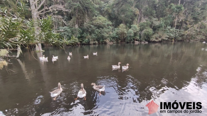 Terreno/Lote Residencial para Venda - Campos do Jordão, Umuarama - REF: 2788 Imagem da galeria de fotos: Terreno/Lote Residencial para Venda - Campos do Jordão, Umuarama - REF: 2788