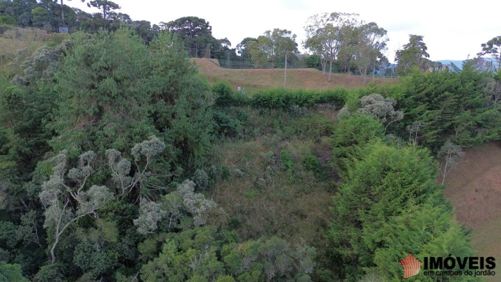 Terreno/Lote Residencial para Venda - Campos do Jordão, Descansópolis - REF: 2775 Imagem da galeria de fotos: Terreno/Lote Residencial para Venda - Campos do Jordão, Descansópolis - REF: 2775