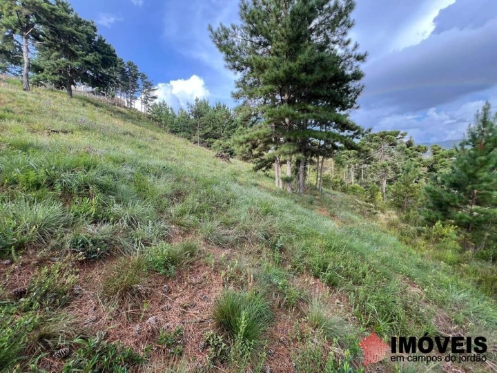 Terreno/Lote Residencial para Venda - Campos do Jordão, Atalaia - REF: 2760 Imagem da galeria de fotos: Terreno/Lote Residencial para Venda - Campos do Jordão, Atalaia - REF: 2760