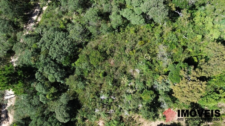 Imagem da galeria de fotos: Terreno/Lote Residencial para Venda - Campos do Jordão, Colinas Do Imbiry - REF: 2752