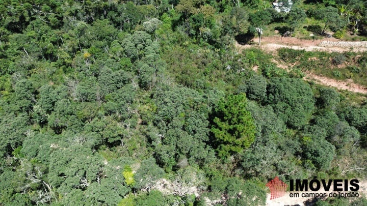 Imagem da galeria de fotos: Terreno/Lote Residencial para Venda - Campos do Jordão, Colinas Do Imbiry - REF: 2752