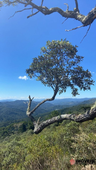 Imagem da galeria de fotos: Terreno/Lote Residencial para Venda - Campos do Jordão, Colinas Do Imbiry - REF: 2752