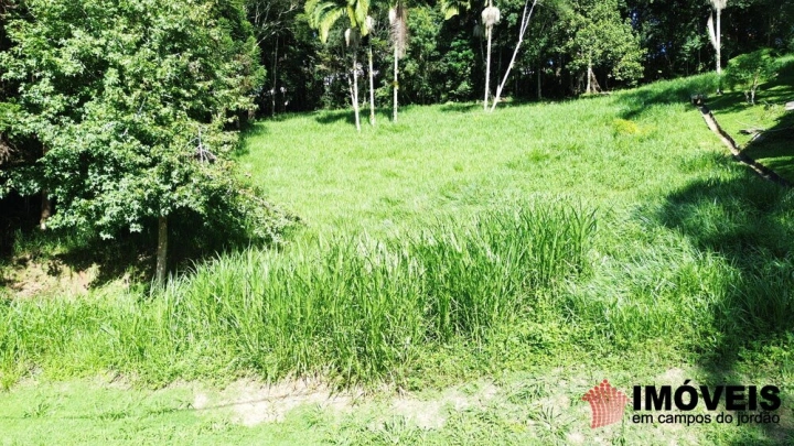 Terreno/Lote Residencial para Venda - Campos do Jordão, Pinhalzinho em Santo Antônio do Pinhal - REF: 2738 Imagem da galeria de fotos: Terreno/Lote Residencial para Venda - Campos do Jordão, Pinhalzinho em Santo Antônio do Pinhal - REF: 2738