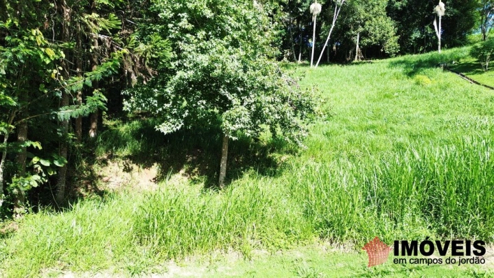 Terreno/Lote Residencial para Venda - Campos do Jordão, Pinhalzinho em Santo Antônio do Pinhal - REF: 2738 Imagem da galeria de fotos: Terreno/Lote Residencial para Venda - Campos do Jordão, Pinhalzinho em Santo Antônio do Pinhal - REF: 2738