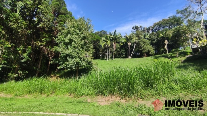 Terreno/Lote Residencial para Venda - Campos do Jordão, Pinhalzinho em Santo Antônio do Pinhal - REF: 2738 Imagem da galeria de fotos: Terreno/Lote Residencial para Venda - Campos do Jordão, Pinhalzinho em Santo Antônio do Pinhal - REF: 2738