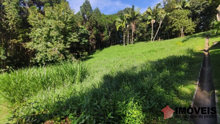 Terreno/Lote Residencial para Venda - Campos do Jordão, Pinhalzinho em Santo Antônio do Pinhal - REF: 2738 Imagem da galeria de fotos: Terreno/Lote Residencial para Venda - Campos do Jordão, Pinhalzinho em Santo Antônio do Pinhal - REF: 2738