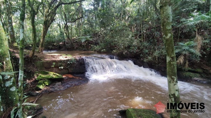Terreno/Lote Residencial para Venda - Campos do Jordão, Pinhalzinho em Santo Antônio do Pinhal - REF: 2738 Imagem da galeria de fotos: Terreno/Lote Residencial para Venda - Campos do Jordão, Pinhalzinho em Santo Antônio do Pinhal - REF: 2738