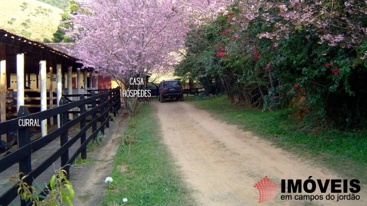Fazenda Rural para Venda - Campos do Jordão, Sertãozinho em Santo Antônio do Pinhal - REF: 2734 Imagem da galeria de fotos: Fazenda Rural para Venda - Campos do Jordão, Sertãozinho em Santo Antônio do Pinhal - REF: 2734
