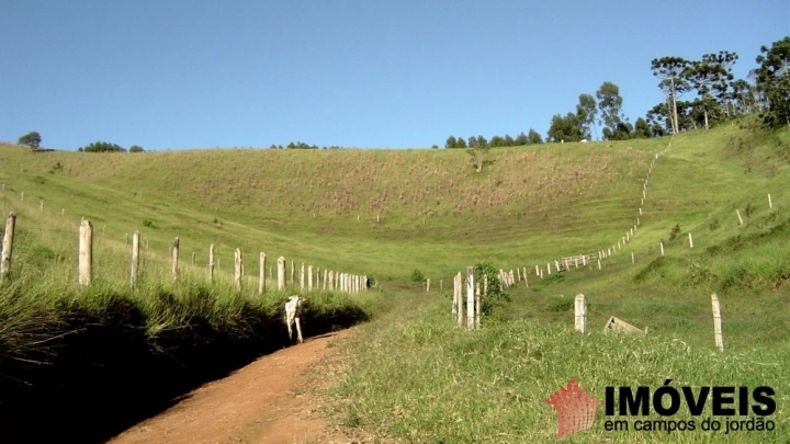 Fazenda Rural para Venda - Campos do Jordão, Sertãozinho em Santo Antônio do Pinhal - REF: 2734 Imagem da galeria de fotos: Fazenda Rural para Venda - Campos do Jordão, Sertãozinho em Santo Antônio do Pinhal - REF: 2734