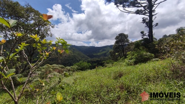 Terreno/Lote Residencial para Venda - Campos do Jordão, Alpes de Campos do Jordão - REF: 2704 Imagem da galeria de fotos: Terreno/Lote Residencial para Venda - Campos do Jordão, Alpes de Campos do Jordão - REF: 2704
