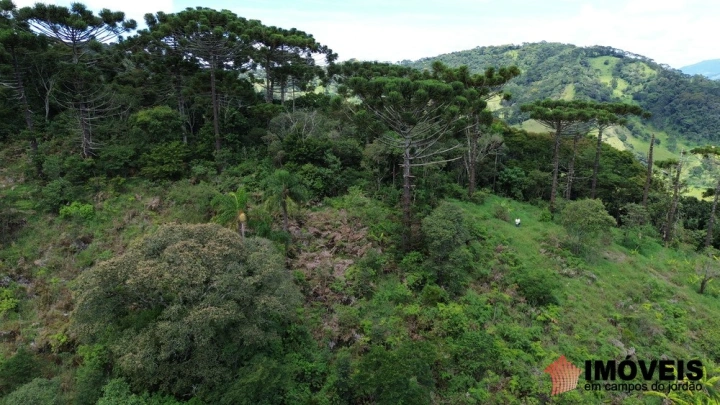 Terreno/Lote Residencial para Venda - Campos do Jordão, Alpes de Campos do Jordão - REF: 2704 Imagem da galeria de fotos: Terreno/Lote Residencial para Venda - Campos do Jordão, Alpes de Campos do Jordão - REF: 2704