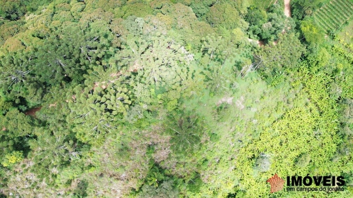 Terreno/Lote Residencial para Venda - Campos do Jordão, Alpes de Campos do Jordão - REF: 2704 Imagem da galeria de fotos: Terreno/Lote Residencial para Venda - Campos do Jordão, Alpes de Campos do Jordão - REF: 2704