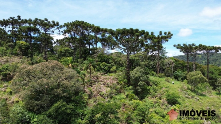 Terreno/Lote Residencial para Venda - Campos do Jordão, Alpes de Campos do Jordão - REF: 2704 Imagem da galeria de fotos: Terreno/Lote Residencial para Venda - Campos do Jordão, Alpes de Campos do Jordão - REF: 2704