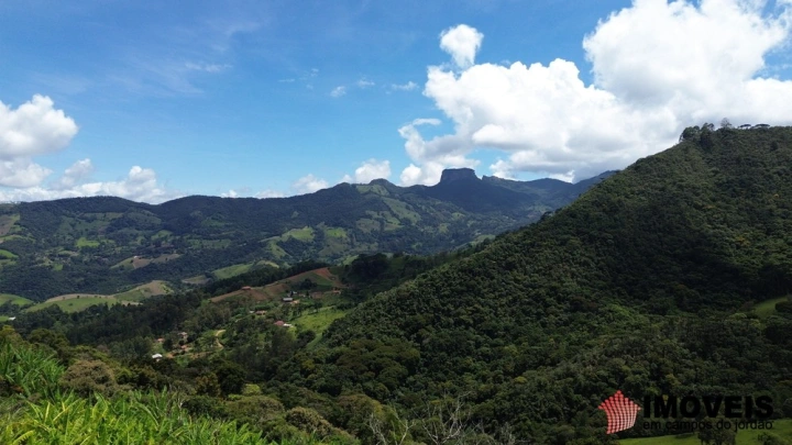 Terreno/Lote Residencial para Venda - Campos do Jordão, Alpes de Campos do Jordão - REF: 2704 Imagem da galeria de fotos: Terreno/Lote Residencial para Venda - Campos do Jordão, Alpes de Campos do Jordão - REF: 2704