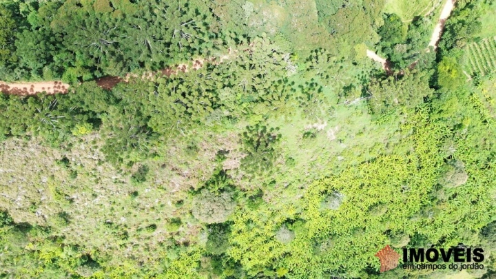 Terreno/Lote Residencial para Venda - Campos do Jordão, Alpes de Campos do Jordão - REF: 2704 Imagem da galeria de fotos: Terreno/Lote Residencial para Venda - Campos do Jordão, Alpes de Campos do Jordão - REF: 2704