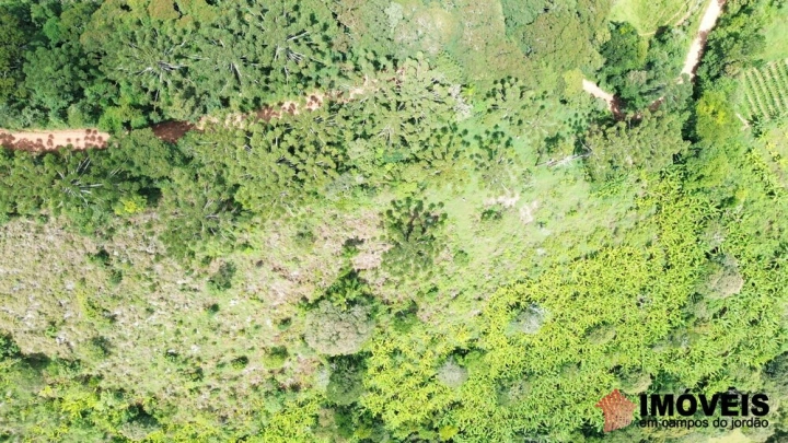 Terreno/Lote Residencial para Venda - Campos do Jordão, Alpes de Campos do Jordão - REF: 2704 Imagem da galeria de fotos: Terreno/Lote Residencial para Venda - Campos do Jordão, Alpes de Campos do Jordão - REF: 2704