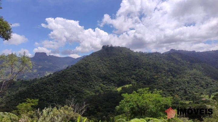 Terreno/Lote Residencial para Venda - Campos do Jordão, Alpes de Campos do Jordão - REF: 2704 Imagem da galeria de fotos: Terreno/Lote Residencial para Venda - Campos do Jordão, Alpes de Campos do Jordão - REF: 2704
