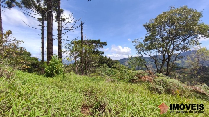 Terreno/Lote Residencial para Venda - Campos do Jordão, Alpes de Campos do Jordão - REF: 2704 Imagem da galeria de fotos: Terreno/Lote Residencial para Venda - Campos do Jordão, Alpes de Campos do Jordão - REF: 2704