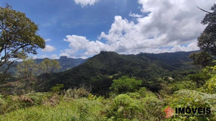 Terreno/Lote Residencial para Venda - Campos do Jordão, Alpes de Campos do Jordão - REF: 2704 Imagem da galeria de fotos: Terreno/Lote Residencial para Venda - Campos do Jordão, Alpes de Campos do Jordão - REF: 2704